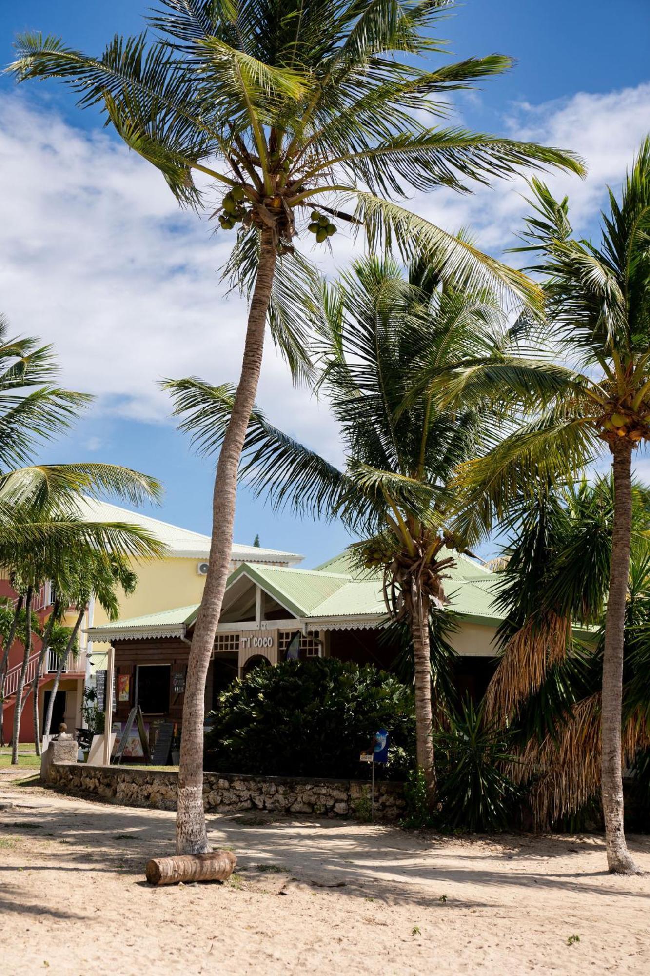 Le Petit Havre Tropical Guadeloupe, Gite, Massages & Spa サン・フランソワ エクステリア 写真