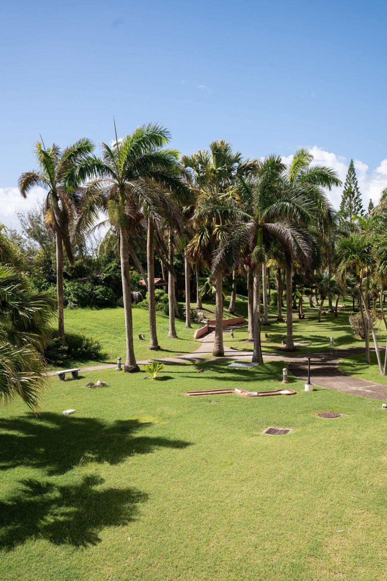 Le Petit Havre Tropical Guadeloupe, Gite, Massages & Spa サン・フランソワ エクステリア 写真